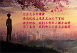 渴望感动（图集）