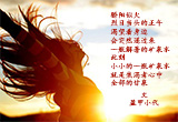 渴望感动（5）