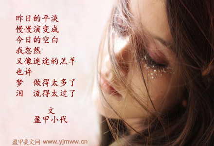 泪总是流给自己的
