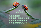 留一点距离给人生（3）