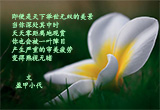留一点距离给人生（4）
