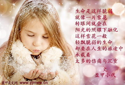 生命就像一片雪花