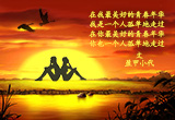 邂逅孤单（图集）