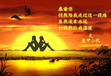 邂逅孤单（4）