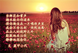心灵之约（15）