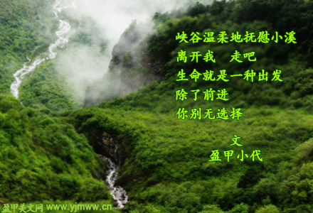 依恋