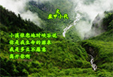 依恋（1）