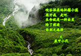依恋（图集）