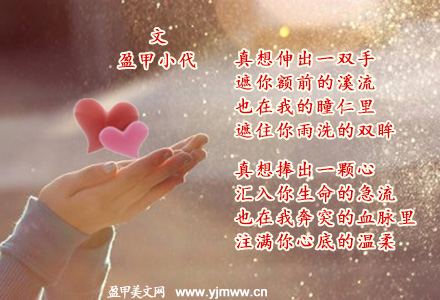 真想